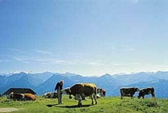 Ferienwohnung Schuster (65661), Seewiesen, Mariazellerland, Steiermark, Österreich, Bild 11