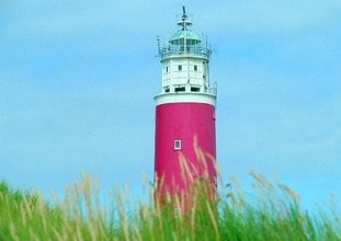 Ferienhaus Kustpark Texel - Type T6A (316628), De Koog, Texel, Nordholland, Niederlande, Bild 18