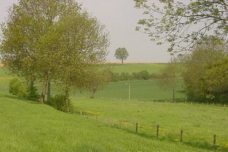 Ferienhaus De Witte Keizerin (76285), Simpelveld, , Limburg (NL), Niederlande, Bild 23