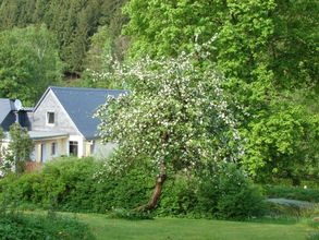 Holiday home Sauerland