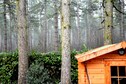 Vakantiehuis Tuin zomer