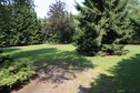 Vakantiehuis Tuin zomer
