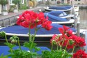 Vakantiehuis Uitzicht zomer