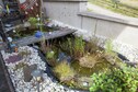 Vakantiehuis Tuin zomer