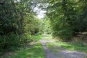 Vakantiehuis Directe omgeving (zomer) (<1 km)