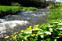 Vakantiehuis Omgeving (zomer) (1-5 km)