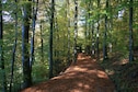 Vakantiehuis Omgeving (zomer) (1-5 km)