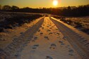Vakantiehuis Directe omgeving (winter) (<1 km)