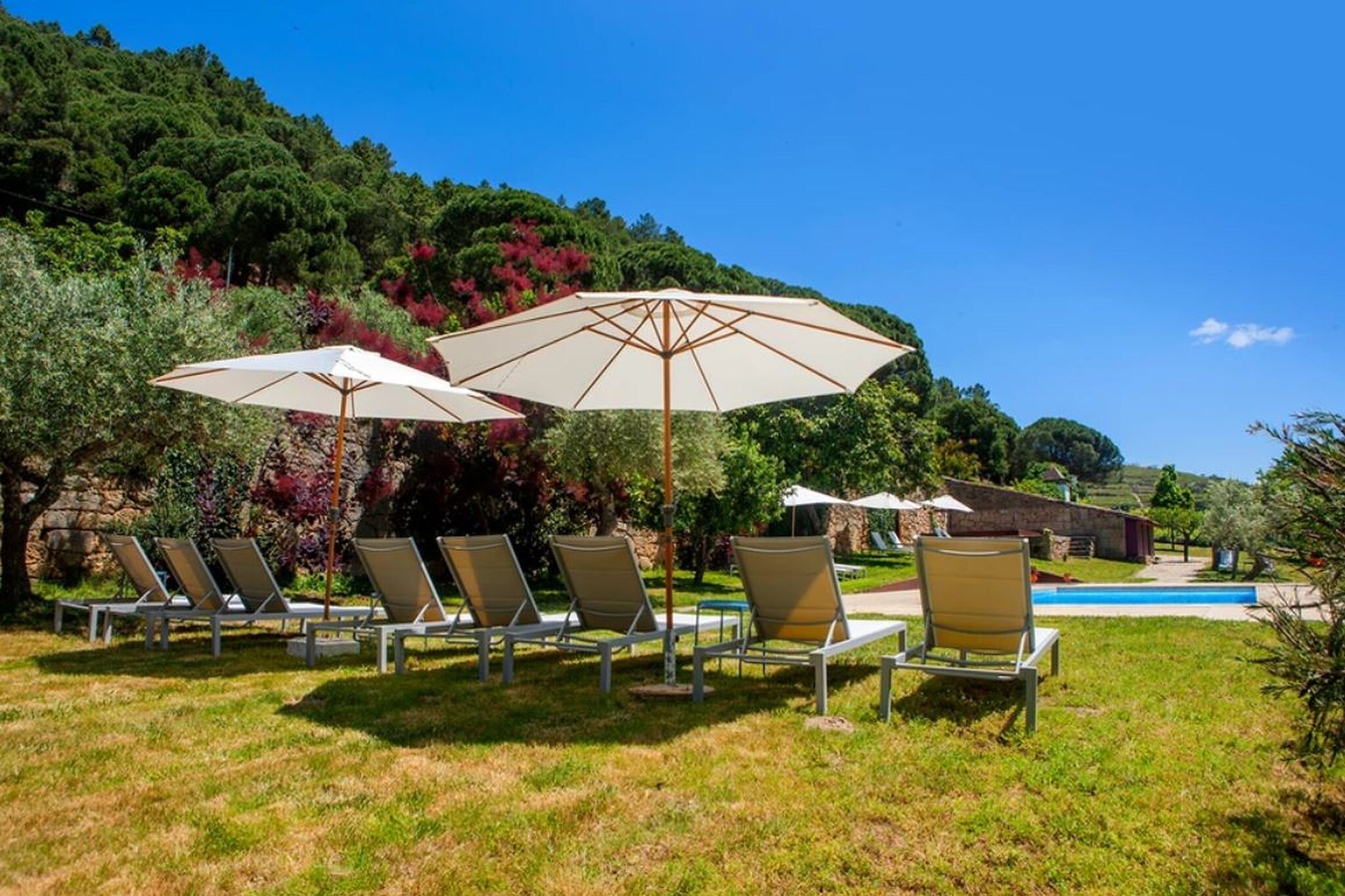 met je hond naar dit vakantiehuis in Castanheiro do Norte, Carrazeda de Ansiães