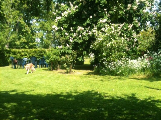 Exterieur vakantiehuis (zomer)