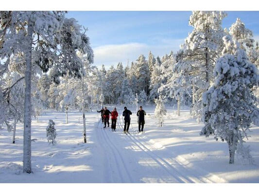 Immediate Surroundings (winter) (<1 km)