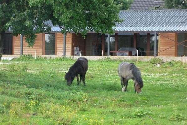Holiday home Guelders