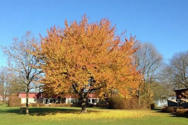 Bungalow Limburg