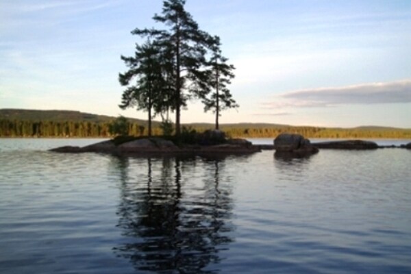 Ferienhaus Tyngsjo Vildmark (795124), Äppelbo, Dalarnas län, Mittelschweden, Schweden, Bild 22