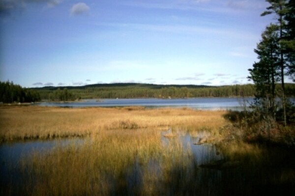 Ferienhaus Tyngsjo Vildmark (795124), Äppelbo, Dalarnas län, Mittelschweden, Schweden, Bild 25