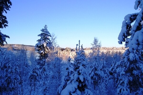 Ferienhaus Tyngsjo Vildmark (795124), Äppelbo, Dalarnas län, Mittelschweden, Schweden, Bild 35