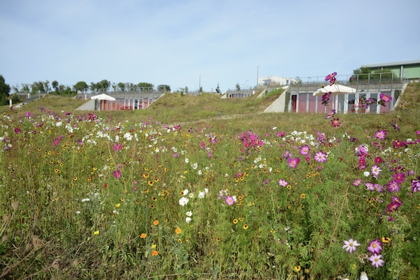 Les Collines de Ste Féréole 2