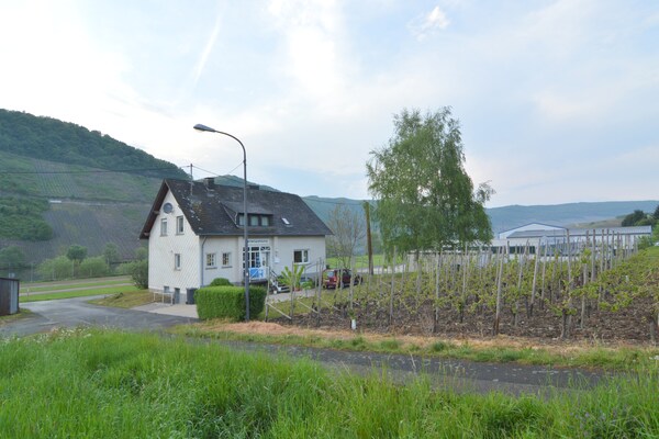 Moselblick