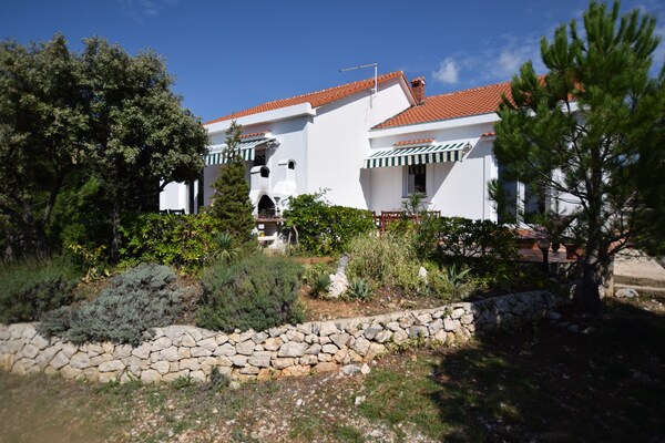 Apartment Petar