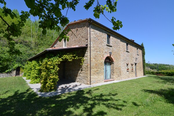 Il Cipresso