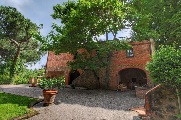 Paulonia