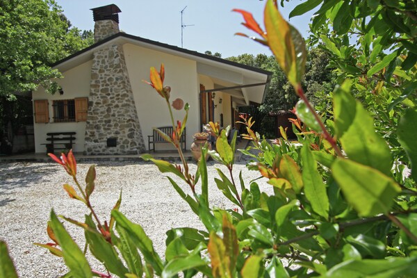 Villa Dino