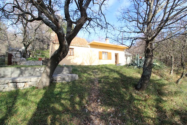 House Nikolina