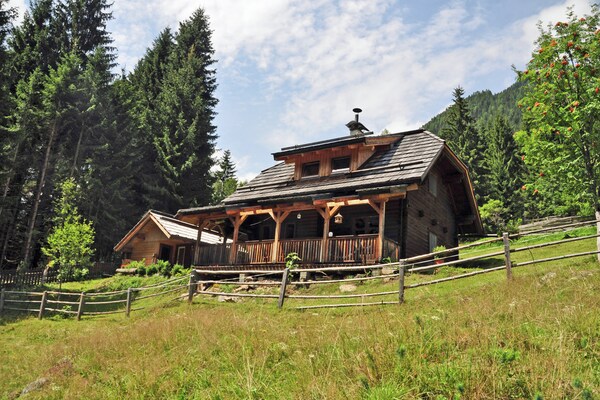 Almhütte im Walde
