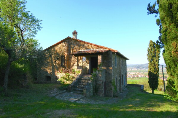 Nespolo Uno