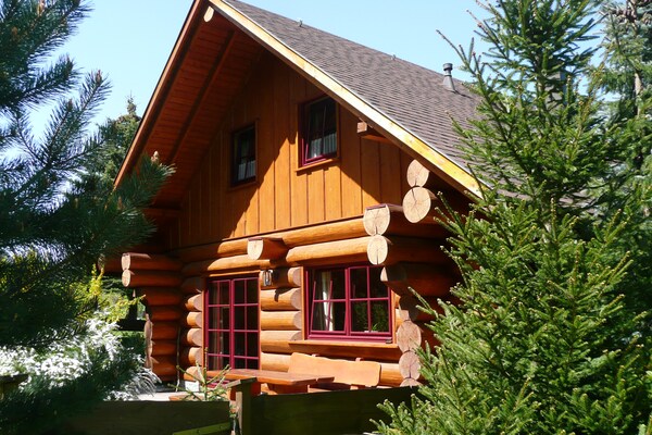 Naturstammhaus