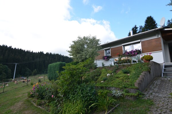 Am Rennsteig