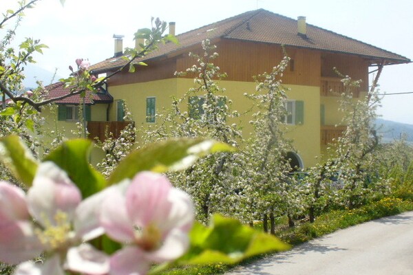 Apartment Trentino Dolomites