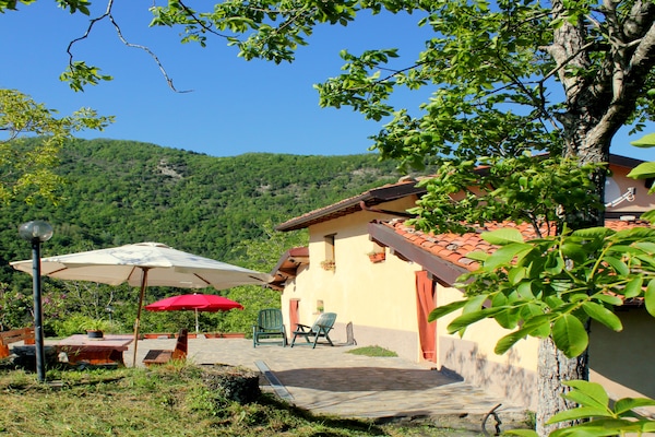 Buffardello del Colle