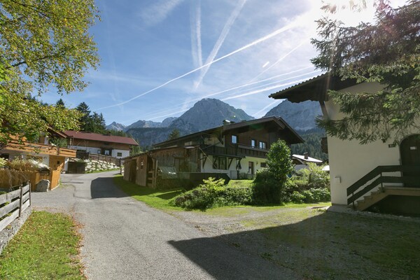 Kirschbaum