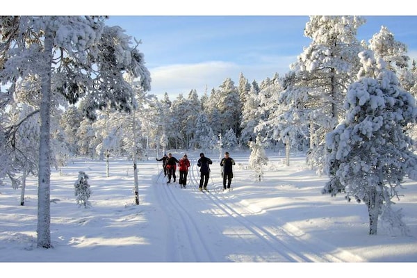 Immediate Surroundings (winter) (<1 km)