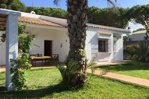Casa Roche