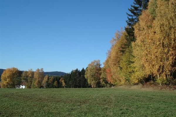 Ferienhaus Wiesing (495461), Viechtach, Bayerischer Wald, Bayern, Deutschland, Bild 40