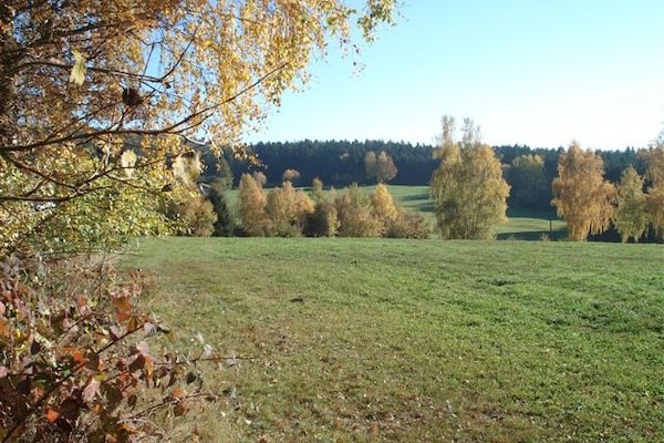 Ferienhaus Wiesing (495461), Viechtach, Bayerischer Wald, Bayern, Deutschland, Bild 38