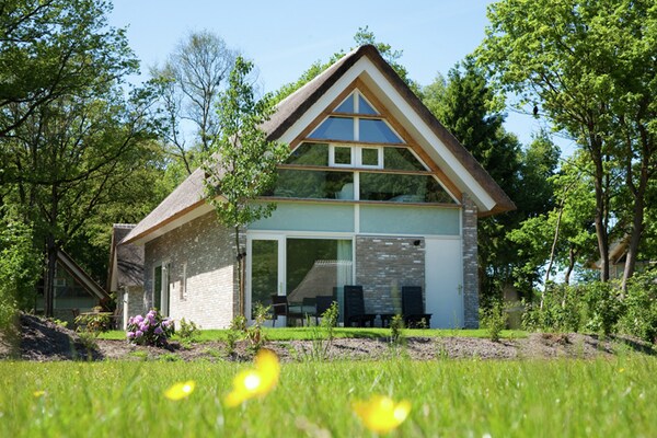 Villa Drenthe