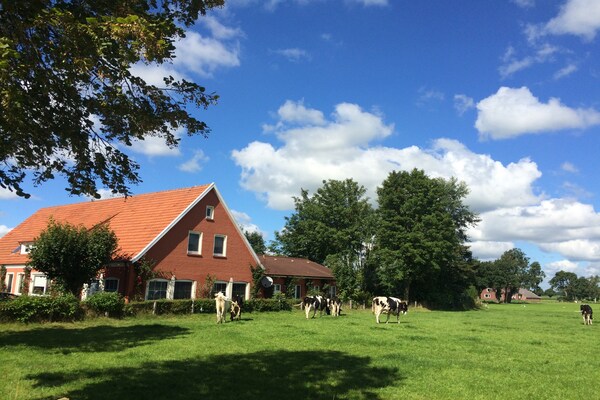 Villa Ostfriesland XL