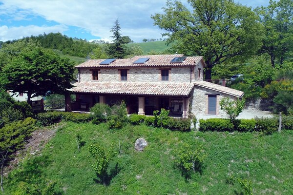Ginestra