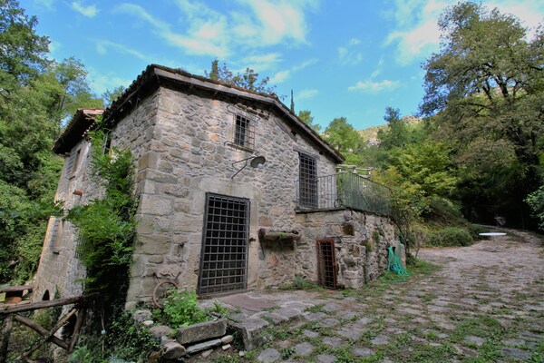 Mulino