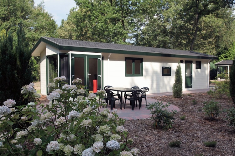 Chalet Drenthe