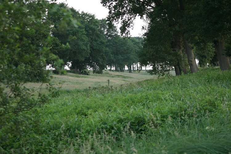 Ferienhaus Chaletpark Kuiperberg (687078), Ootmarsum, , Overijssel, Niederlande, Bild 32