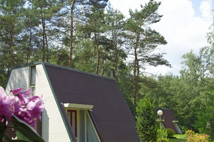 Bungalow Guelders
