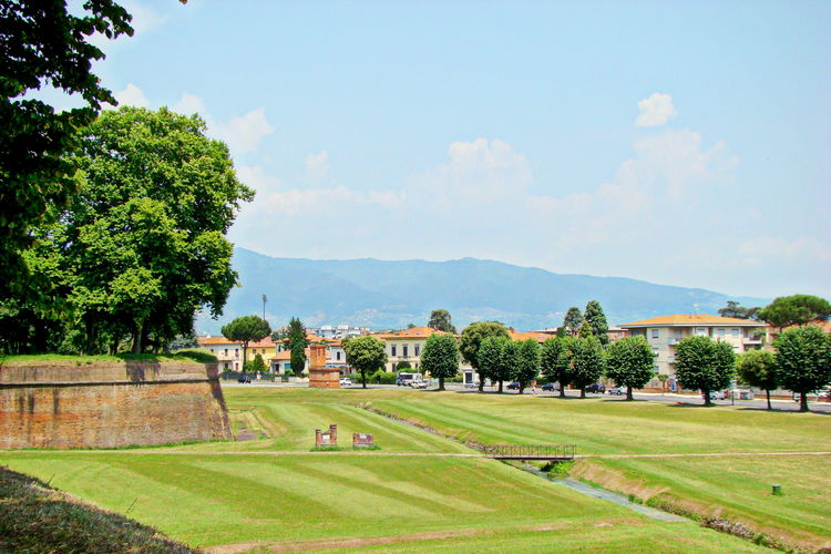 La Regina di Lucca - Casa Artisti