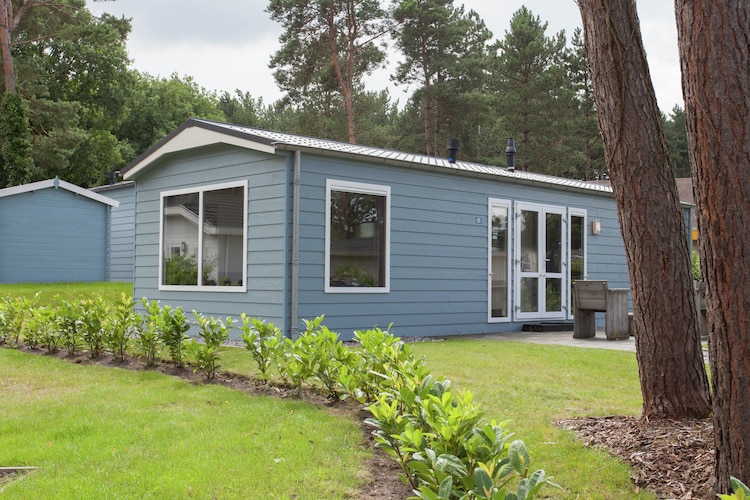 Chalet Limburg