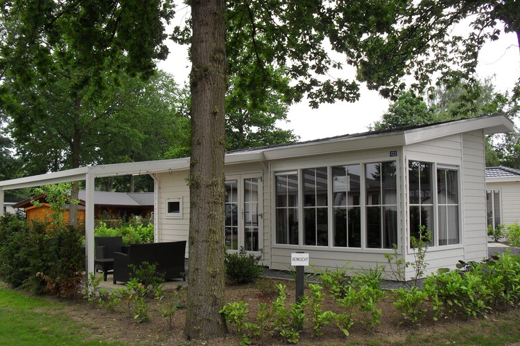 Chalet Limburg