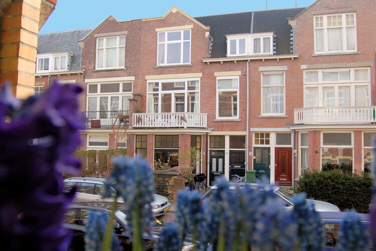 Apartment South Holland