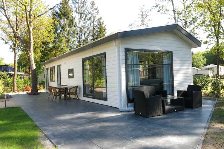 Chalet Overijssel